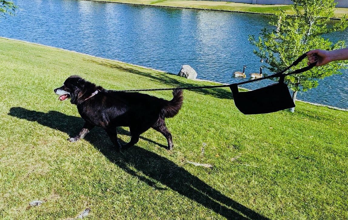 Leash Pack with Zippers (red)